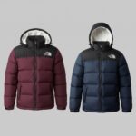TNF 700 Series Premium Insulated Jacket. ( COLOUR - MERUN + NEVY )